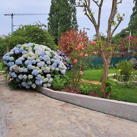 Garden House Ramalde Villa Porto Exterior photo