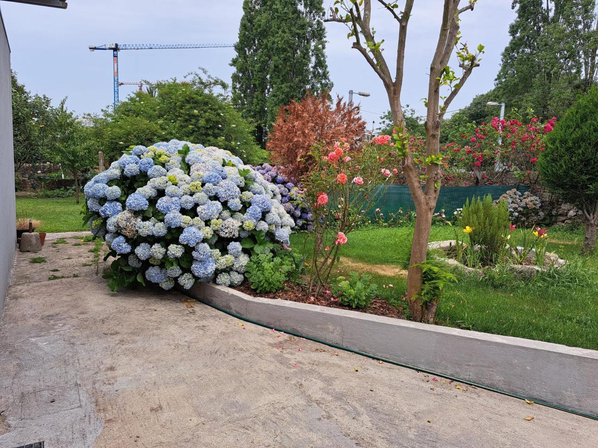 Garden House Ramalde Villa Porto Exterior photo