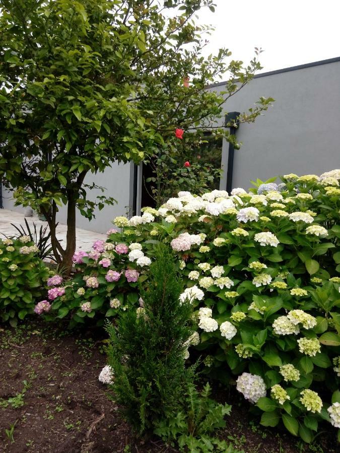 Garden House Ramalde Villa Porto Exterior photo